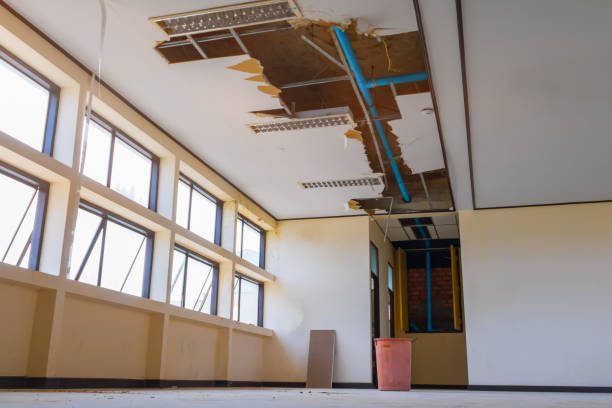 Best Water damage restoration experts  in Oneonta, NY