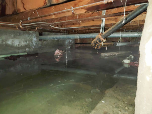 Best Local water damage restoration  in Oneonta, NY