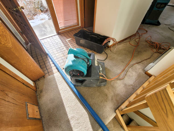 Best 24/7 water damage repair  in Oneonta, NY