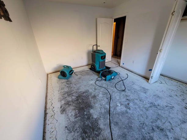Water damage restoration experts in Oneonta, NY