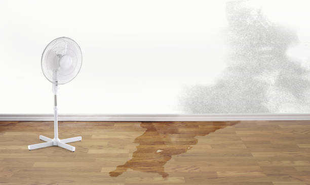Water damage restoration process in Oneonta, NY
