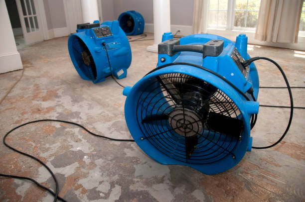 Best Sewage cleanup and water damage restoration  in Oneonta, NY