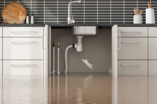 Best Basement water damage restoration  in Oneonta, NY