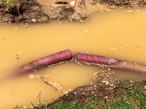 Best Water damage cleanup near me  in Oneonta, NY